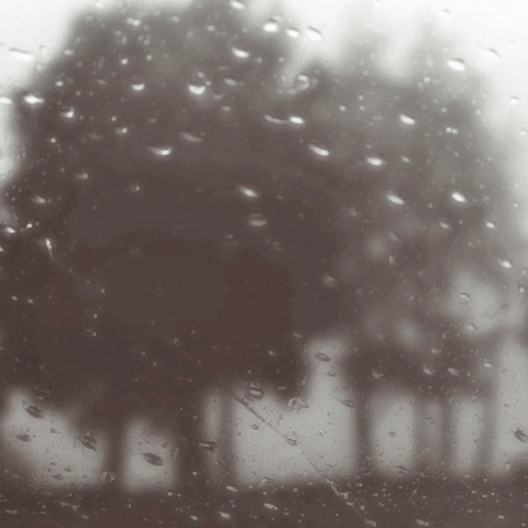 Memory Loss/Cognitive Impairment